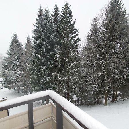 Ferienwohnung Mit Blick In Den Bayrischen Wald Oberhalb Von Sankt Engelmar Sankt Englmar Exterior foto