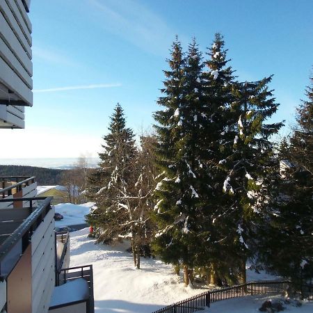 Ferienwohnung Mit Blick In Den Bayrischen Wald Oberhalb Von Sankt Engelmar Sankt Englmar Exterior foto